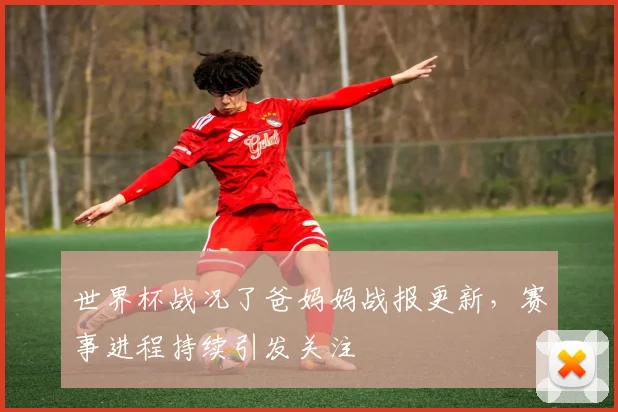 世界杯战况了爸妈妈战报更新,赛事进程持续引发关注