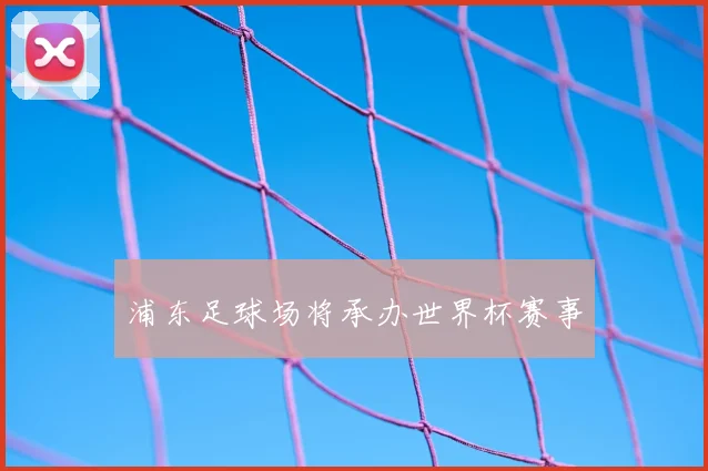 浦东足球场将承办世界杯赛事
