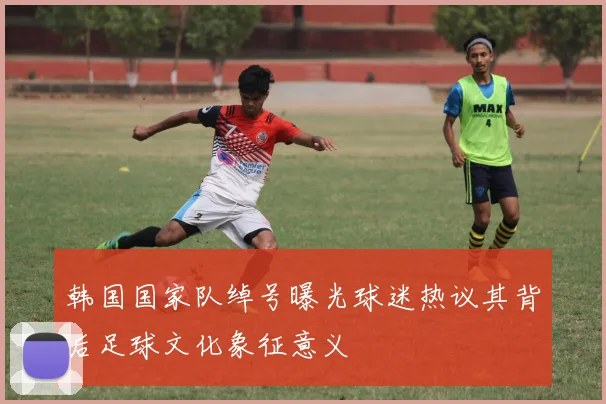 韩国国家队绰号曝光球迷热议其背后足球文化象征意义